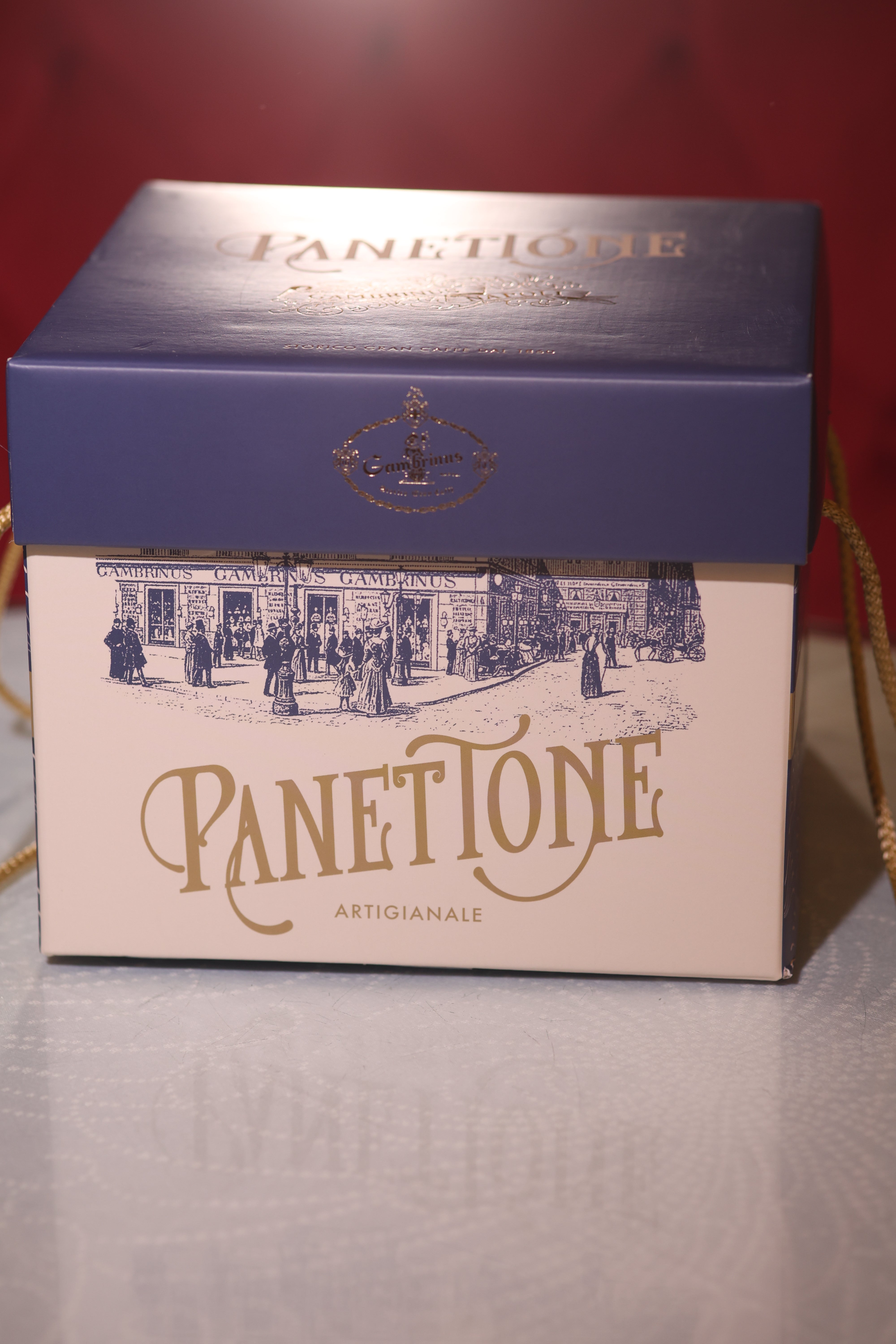 Panettone al cioccolato fondente 70% e albicocche pellecchiella del Vesuvio